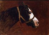 Jean-leon Gerome Canvas Paintings - Profile of a Horse